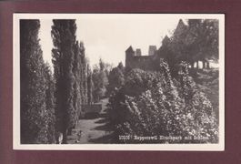 RAPPERSWIL - Hirschpark - Schloss - 1937