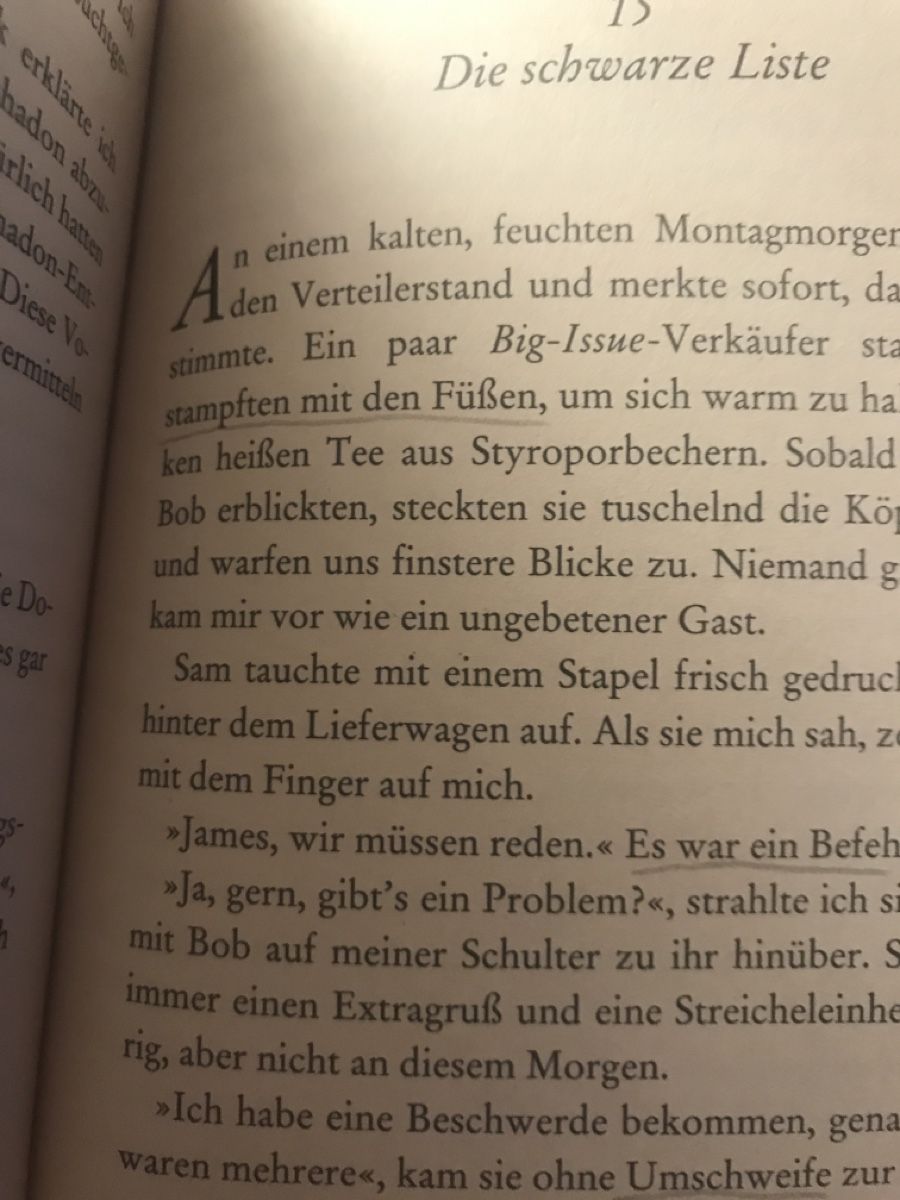 Libri: Bob, der Streuner, James Brown – Usato da Ennetbühl venduto da Anna.K. 2