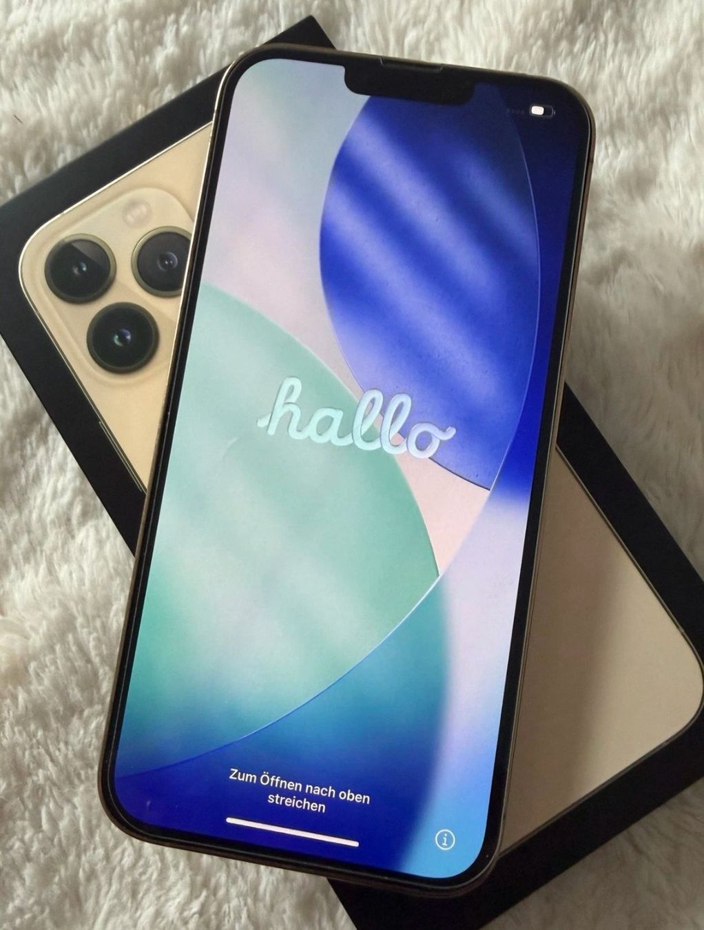 Apple Telefoni cellulari / Smartphones: iPhone 13 Pro Max (256GB) Akku 96% – Usato da Luzern venduto da Waince786 1
