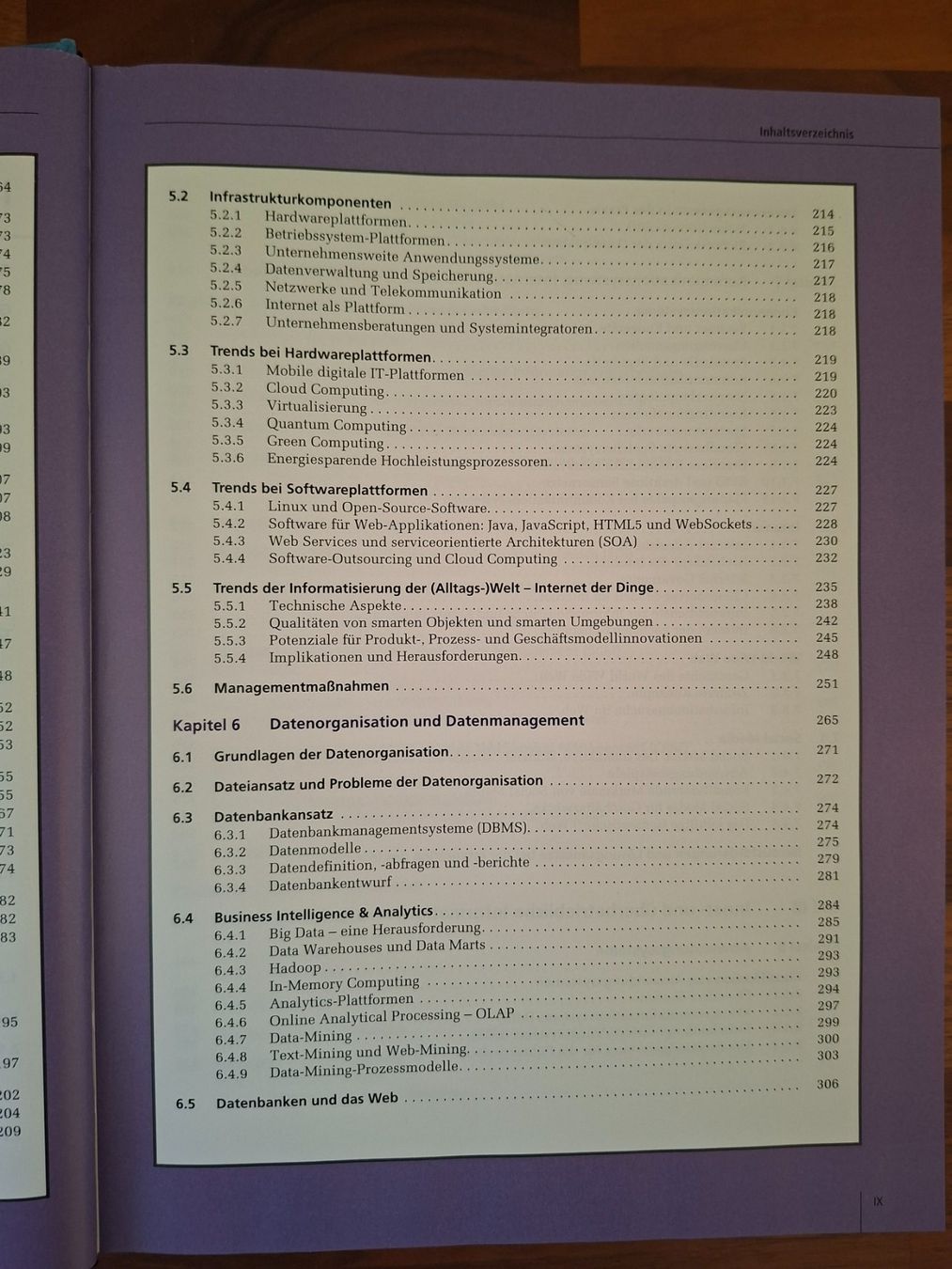 Libri: Laudon & Schoder; Buch Wirtschaftsinformatik Eine Einführung – Usato da Boniswil venduto da Totomat-Lady2 5