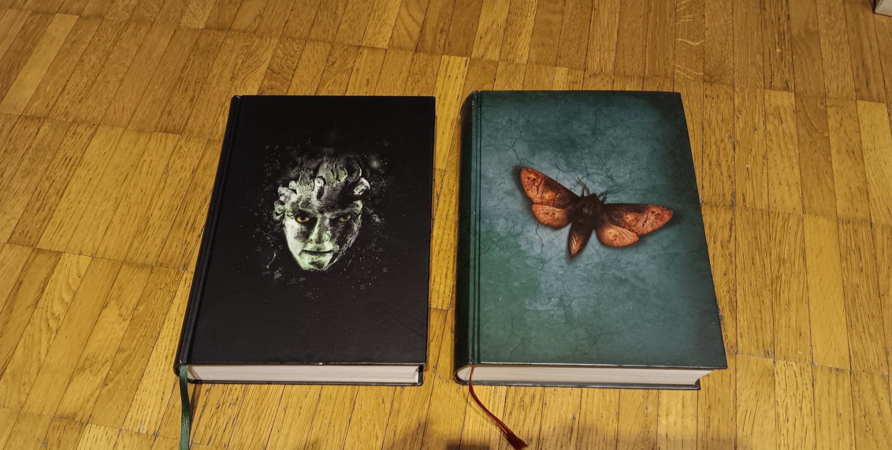 Libri: Cornelia Funke Reckless Buch 1+2 Steinessene+Lebendige Sc... – Usato da Dietikon venduto da Rabia