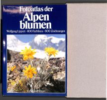 Fotoatlas der Alpenblumen (W. Lippert) 400 Fotos & 600 ✍️