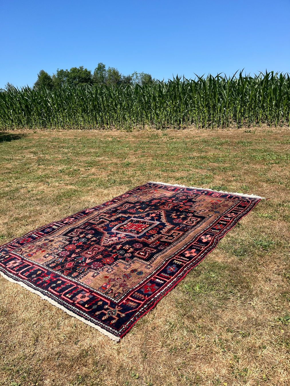 Tappeti: Orient Teppich Handgeknüpft Nahavand Iran – Usato da Allmendingen b. BE venduto da juair 6
