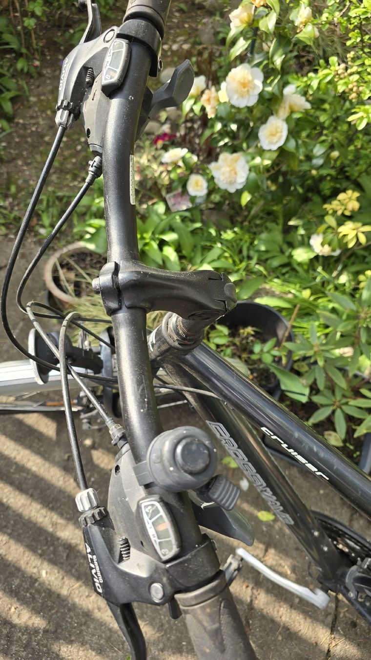 Crosswave Biciclette: Crosswave Cruiser, 52cm Rahmenhöhe – Usato da Muttenz venduto da pixopus 5