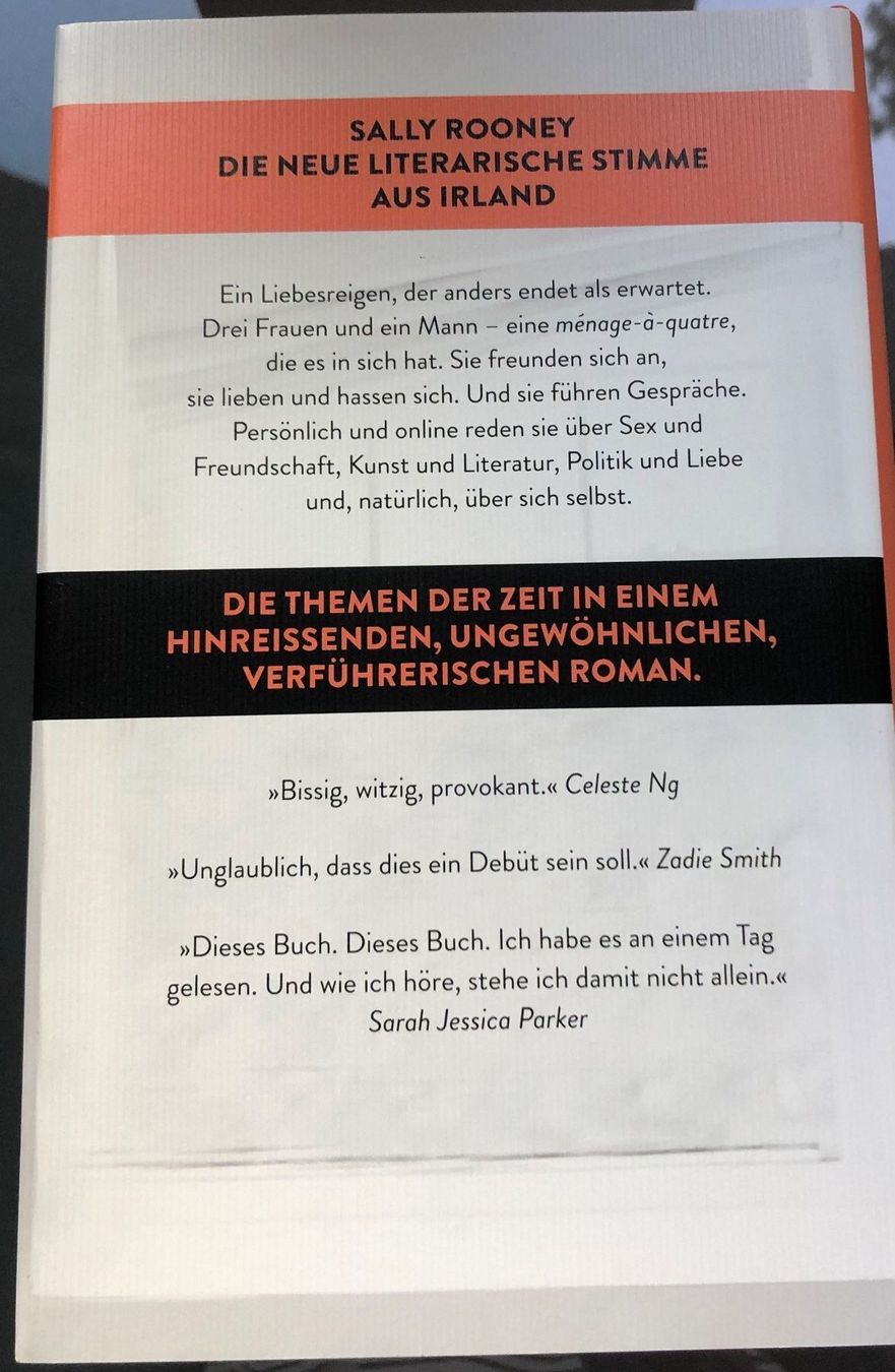 Libri: Sally Rooney Gespräche mit Freunden – Nuovo (secondo la descrizione) da Bonstetten venduto da Audreystyle 1