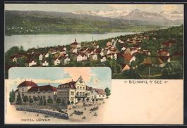 Beinwil am See, Gesamtansicht, Hotel L