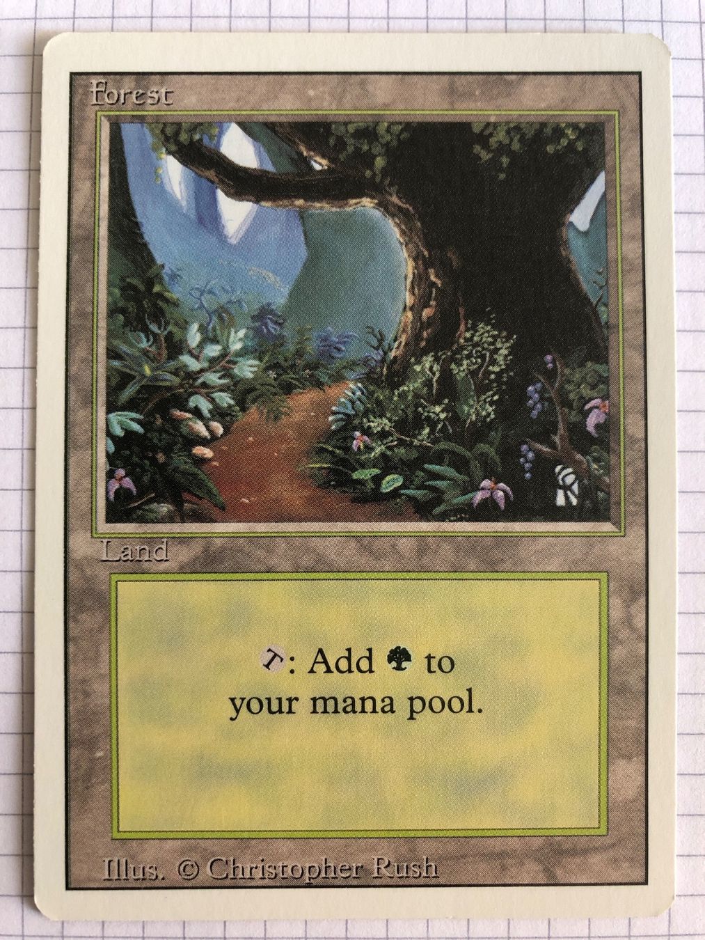 Magic The Gathering Sammelbilder & Trading cards: Revised - Forest V2 - #direktkauf – Gebraucht aus Basel von Melchior5