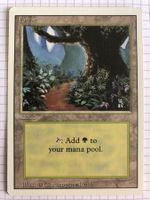 Revised - Forest V2 - #direktkauf