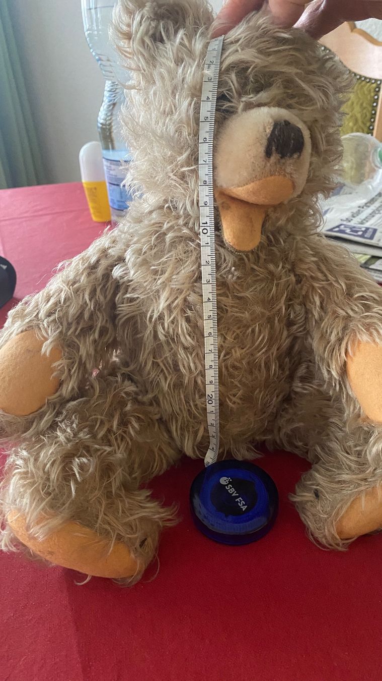 Spielzeuge: Teddybär – Gebraucht aus luzern von bar_5gtr 1