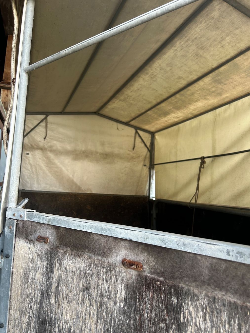 Rimorchi: Pferdetransporter – Usato da Berneck venduto da burghuegel68 6