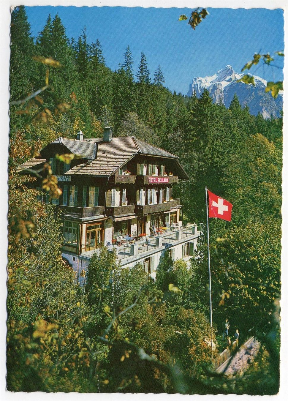 Cartoline postali: GRINDELWALD Waldhotel Bellary – Nuovo (secondo la descrizione) da Jona venduto da philajona