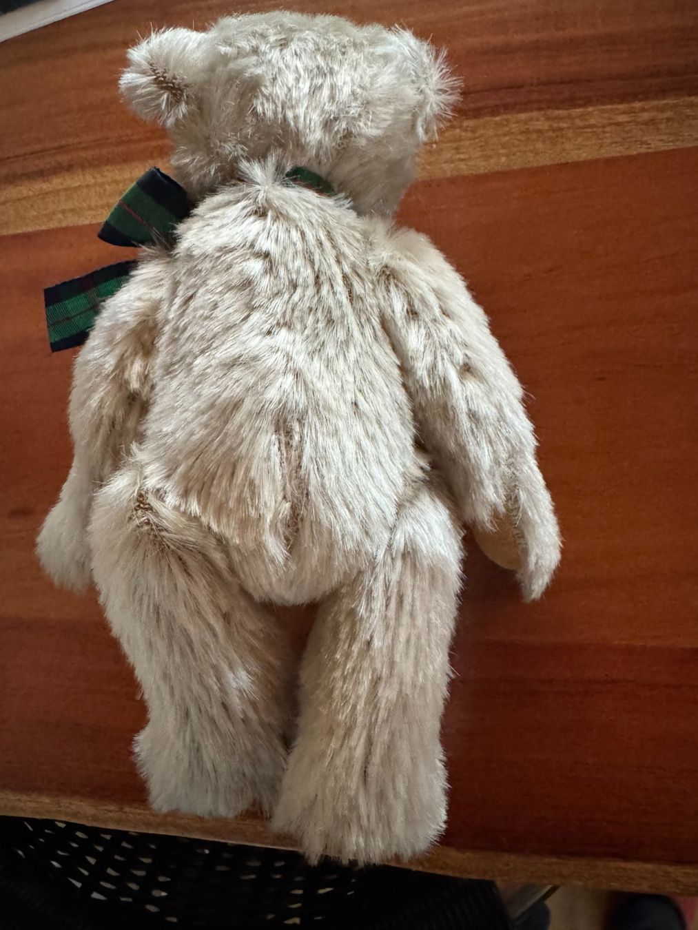Spielzeuge: Sunkid Teddy Bear limitiert Neu – Neu (gemäss Beschreibung) aus Gockhausen von Aston 6