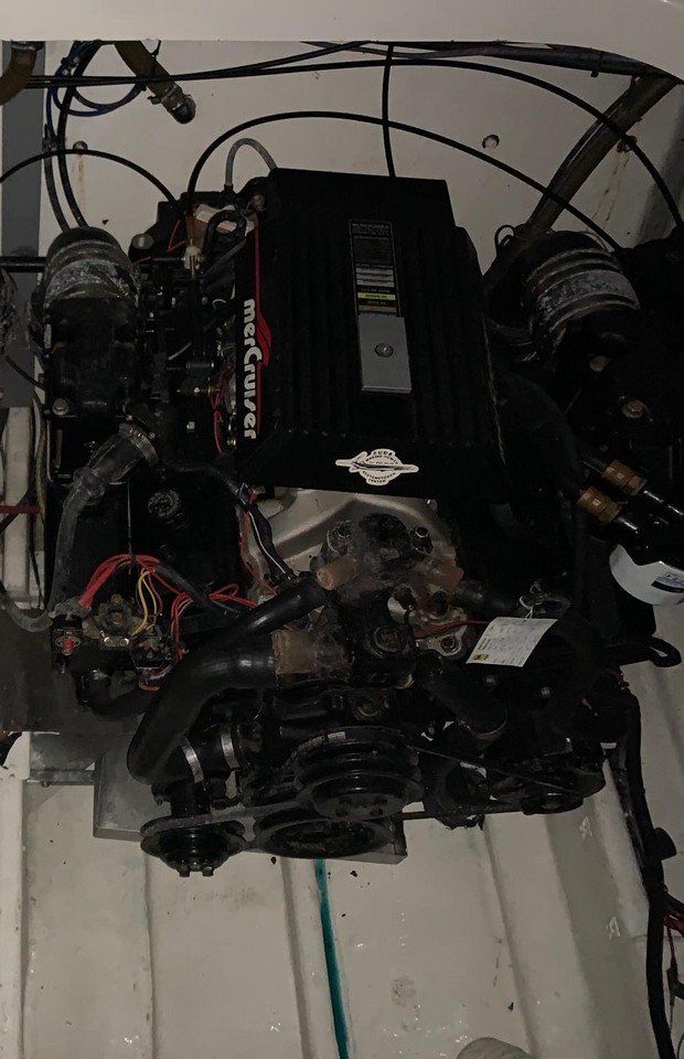 Mercury Motori: MERCRUISER 350 MAGUNUM MOTOR – Usato da Avenches venduto da BOOTTRANSPORTE 1