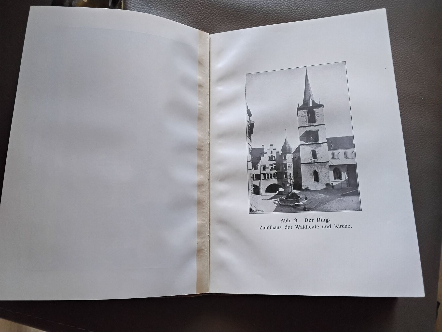Libri: Biel/ Bienne ein Führer , Buch 1922 – Usato da Biel/Bienne venduto da taki25 8