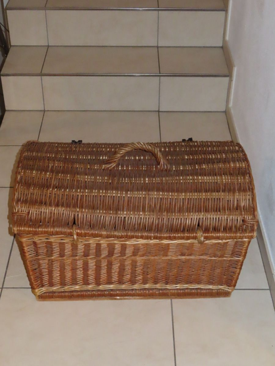 Altro in Antiquarato & Arte: Vintage-Korbkoffer – Usato da Richterswil venduto da Prangins9 6