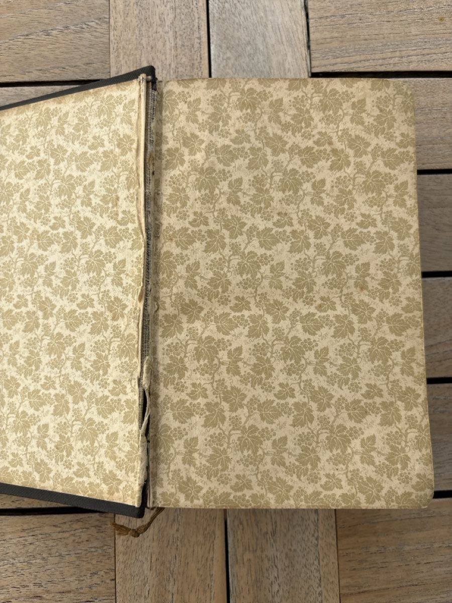 Libri: Die Bibel oder die Heilige Schrift des AT und NT – Usato da Verscio venduto da Foroglio 2
