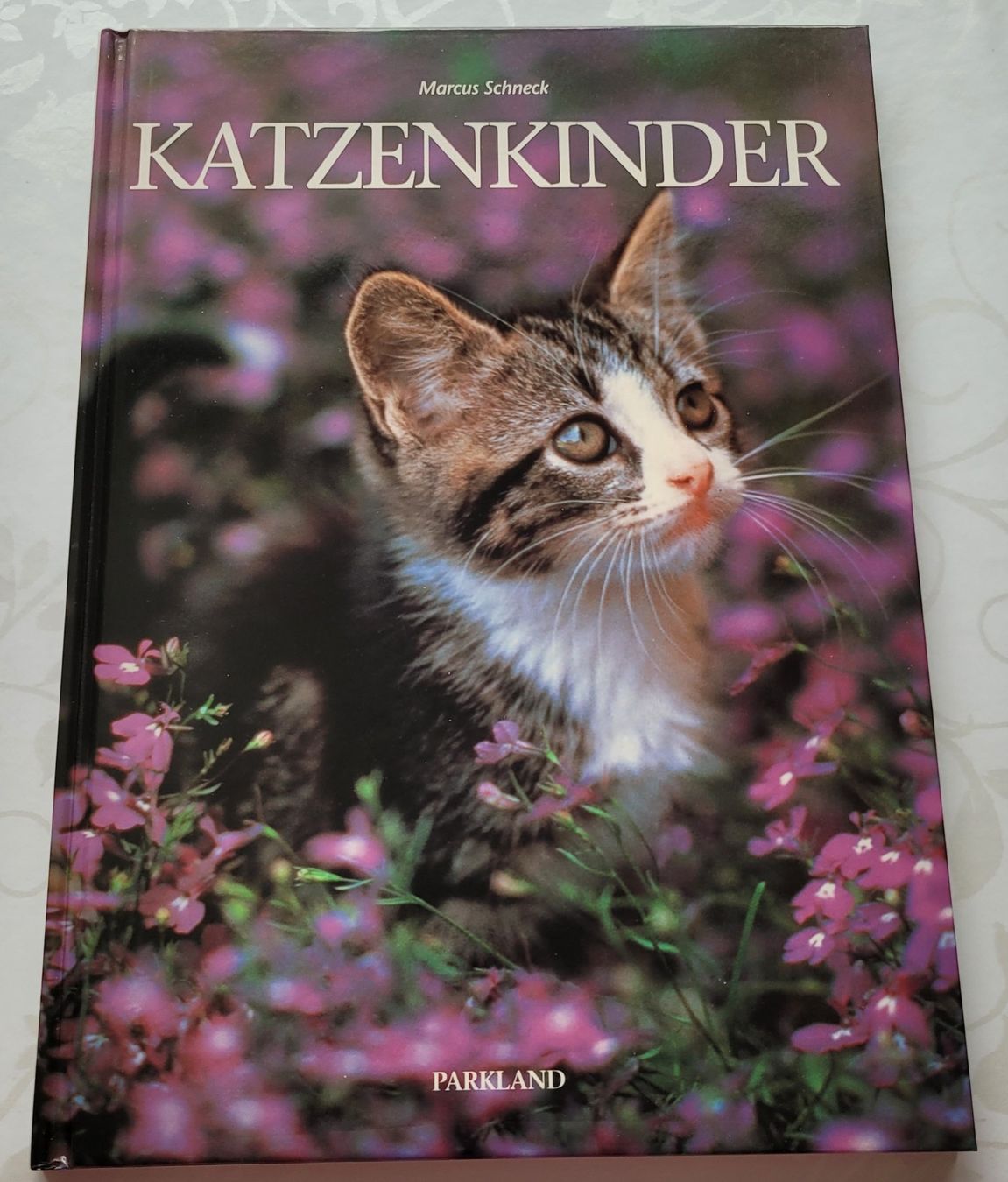 Bücher: Marcus Schneck - Katzenkinder – Gebraucht aus Zürich von fourpaws