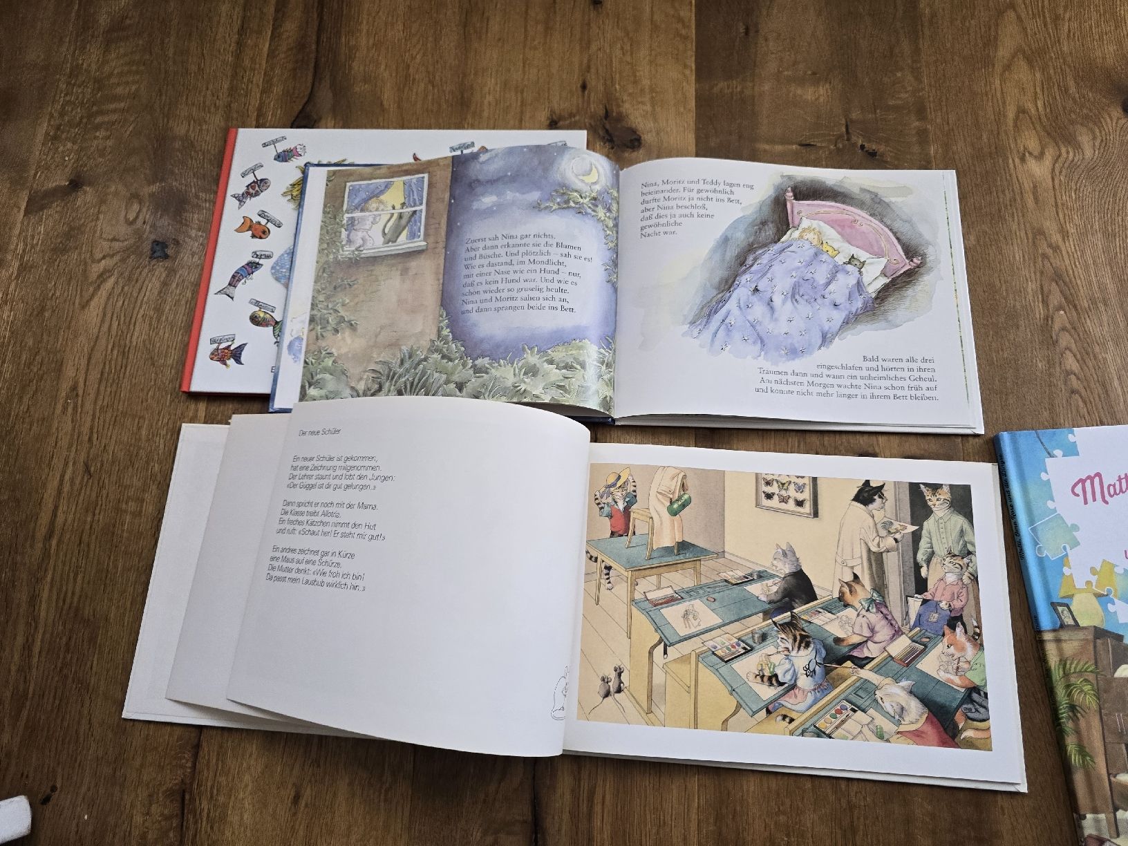 Livres: bücher set – D'occasion à Wittenbach par Tigerlili 4