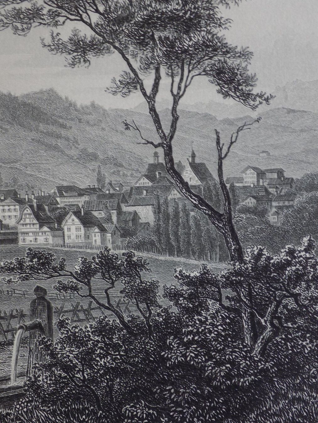 Incisioni: Appenzell Stahlstich – Usato da Risch venduto da Rischli15 6