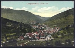 Langenbruck, Ortsansicht aus der Vogelsc