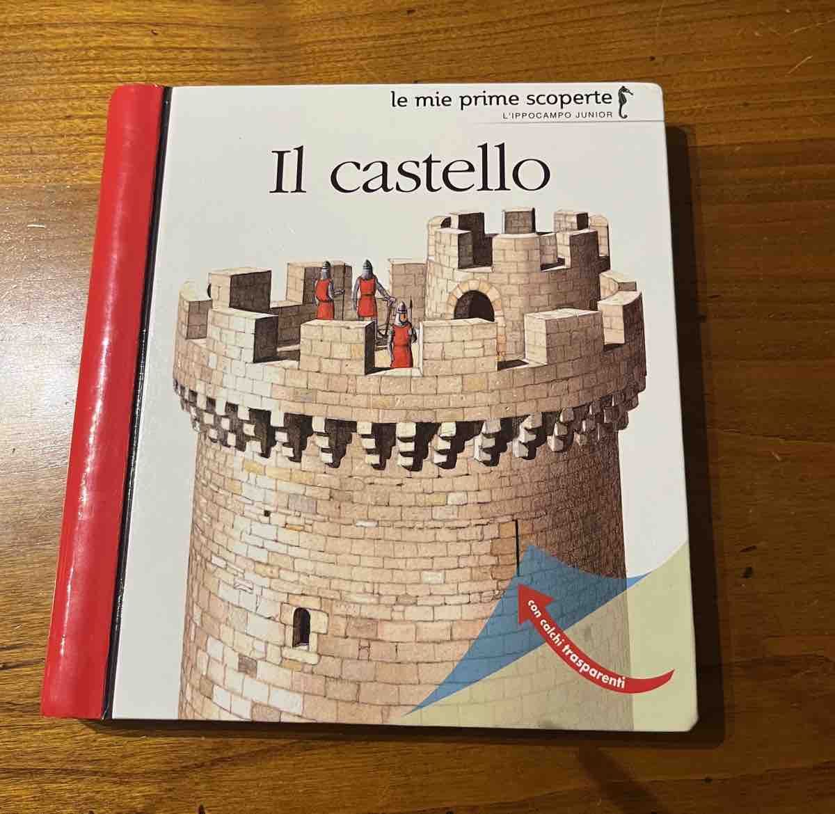 Libri: Schönes Bilderbuch IL CASTELLO – Usato da Zollikerberg venduto da elbamania