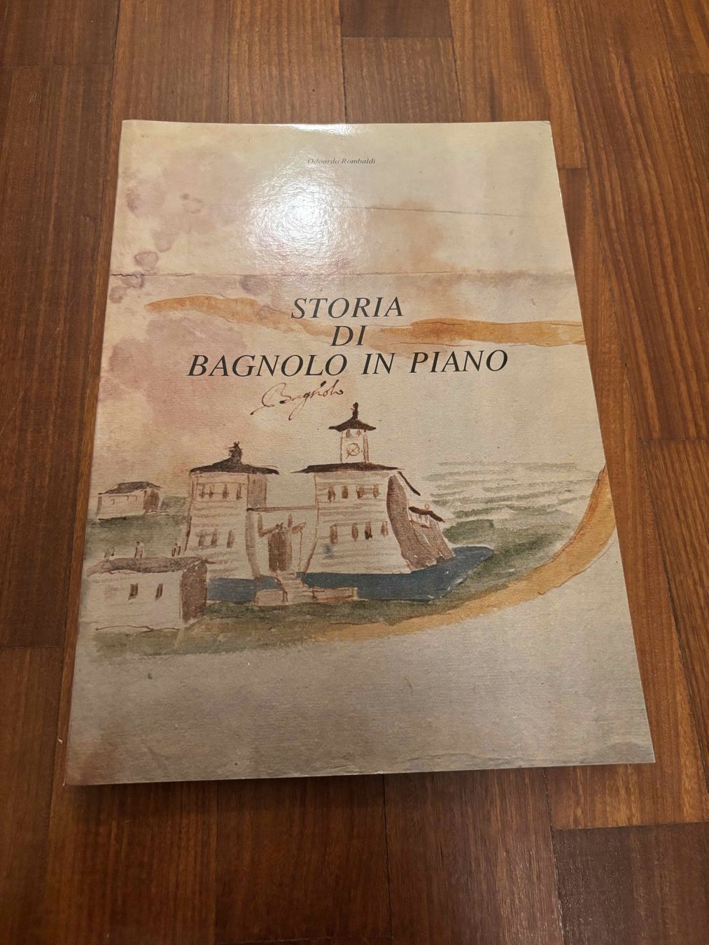 Libri: Storia di Bagnolo in Piano – Usato da Lugano venduto da Mark_Young