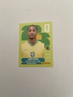 FIFA WM 2026 João Pedro BRA 16