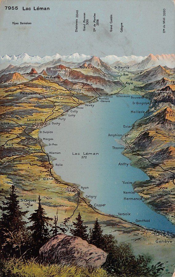 Ansichtskarten: VOGELSCHAU: Lac Léman, vers 1920 – Gebraucht aus Frauenfeld von POML