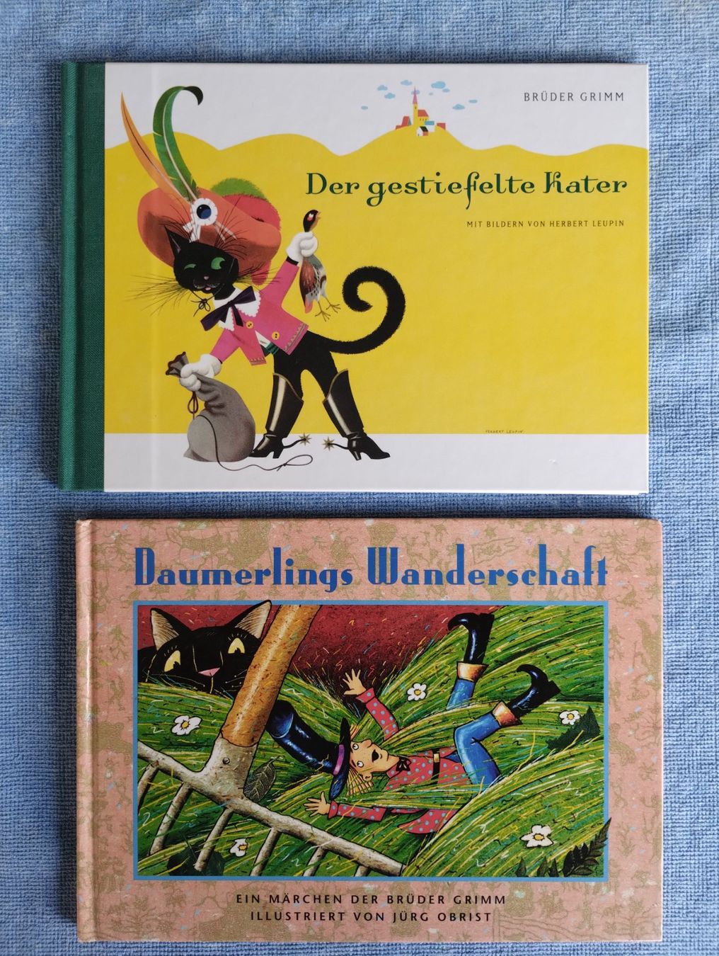 Bücher: 2 Märchenbücher, Der gestiefelte Kater & Daumerlings Wanders – Gebraucht aus Bern von Tbeberger