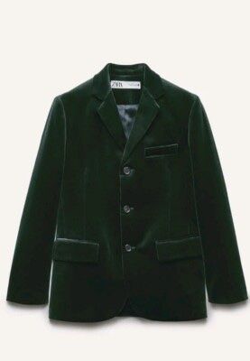 Neu mit Etikett Zara Blazer in Samt