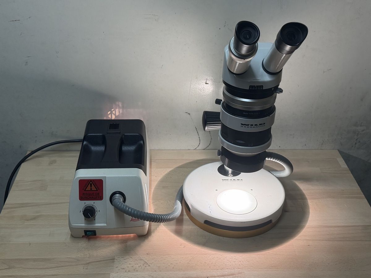 Wild Microscopi: Wild  Stereo Microscope M5A – Usato da Bassecourt venduto da DiM7775 2