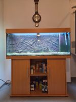 Aquarium Juwel Rio 240