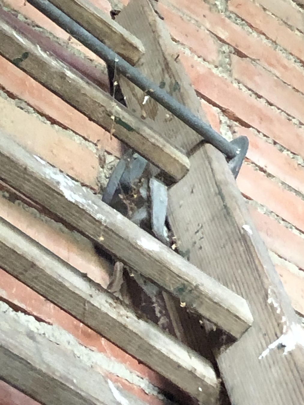 Leitern: Altholz, antike Holzleiter, Vintage – Gebraucht aus Oberkulm von Weberlisa 7