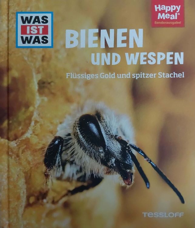 Kinderbuch WAS IST WAS Bienen und Wespen Kaufen auf Ricardo
