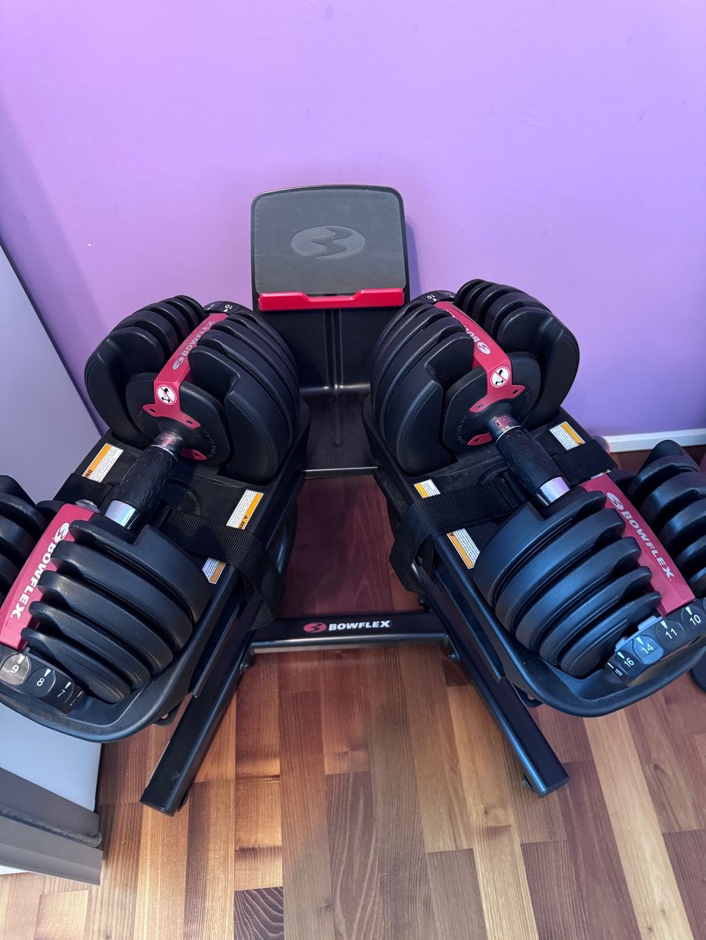Bowflex Manubri & Pesi: Bowflex Hantelset mit Ständer – Nuovo (secondo la descrizione) da Langnau am Albis venduto da Defi