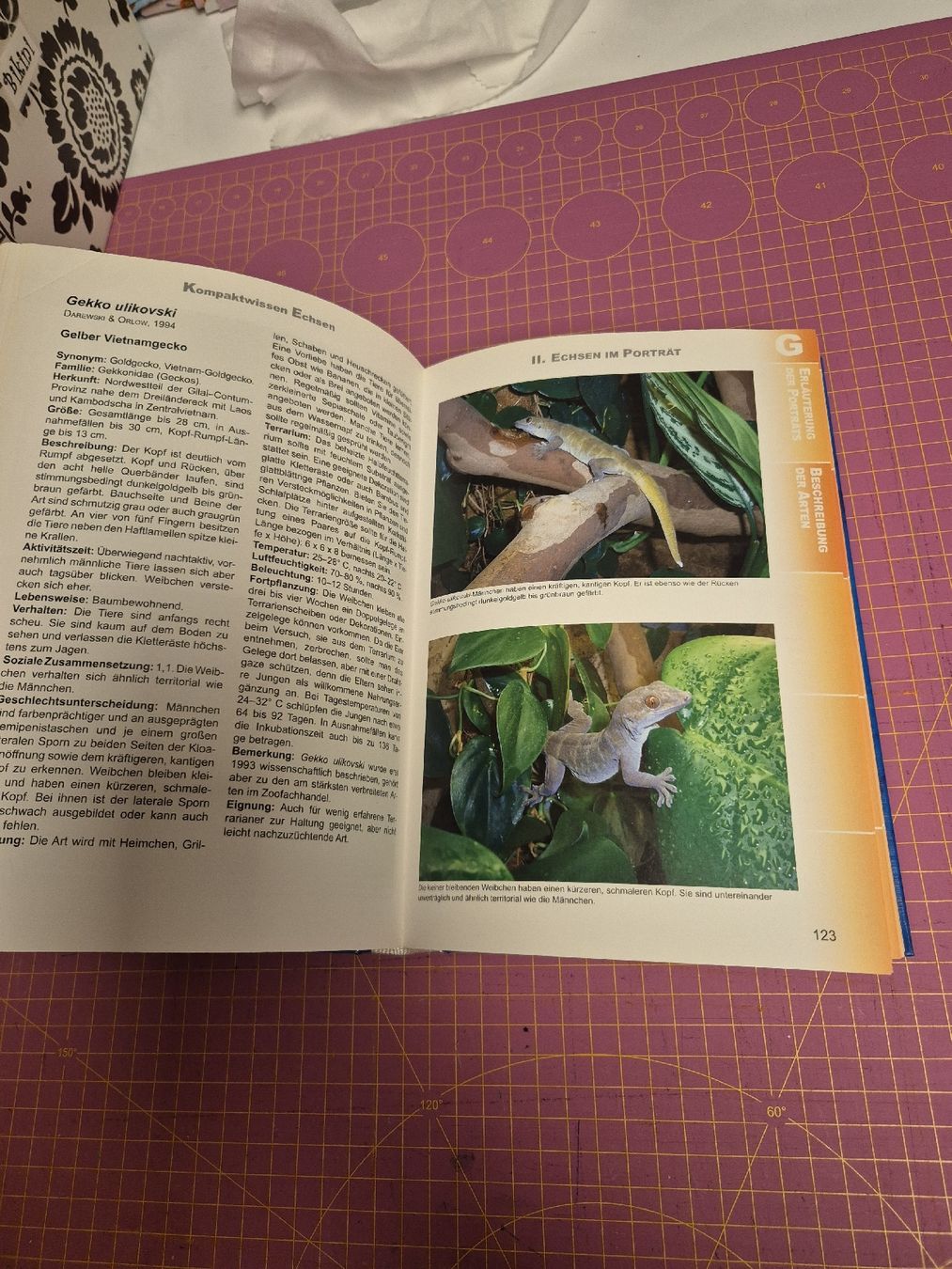 Libri: Buch Kompaktwissen Echsen- Terraristik – Usato da Wynigen venduto da La_Talpa 2