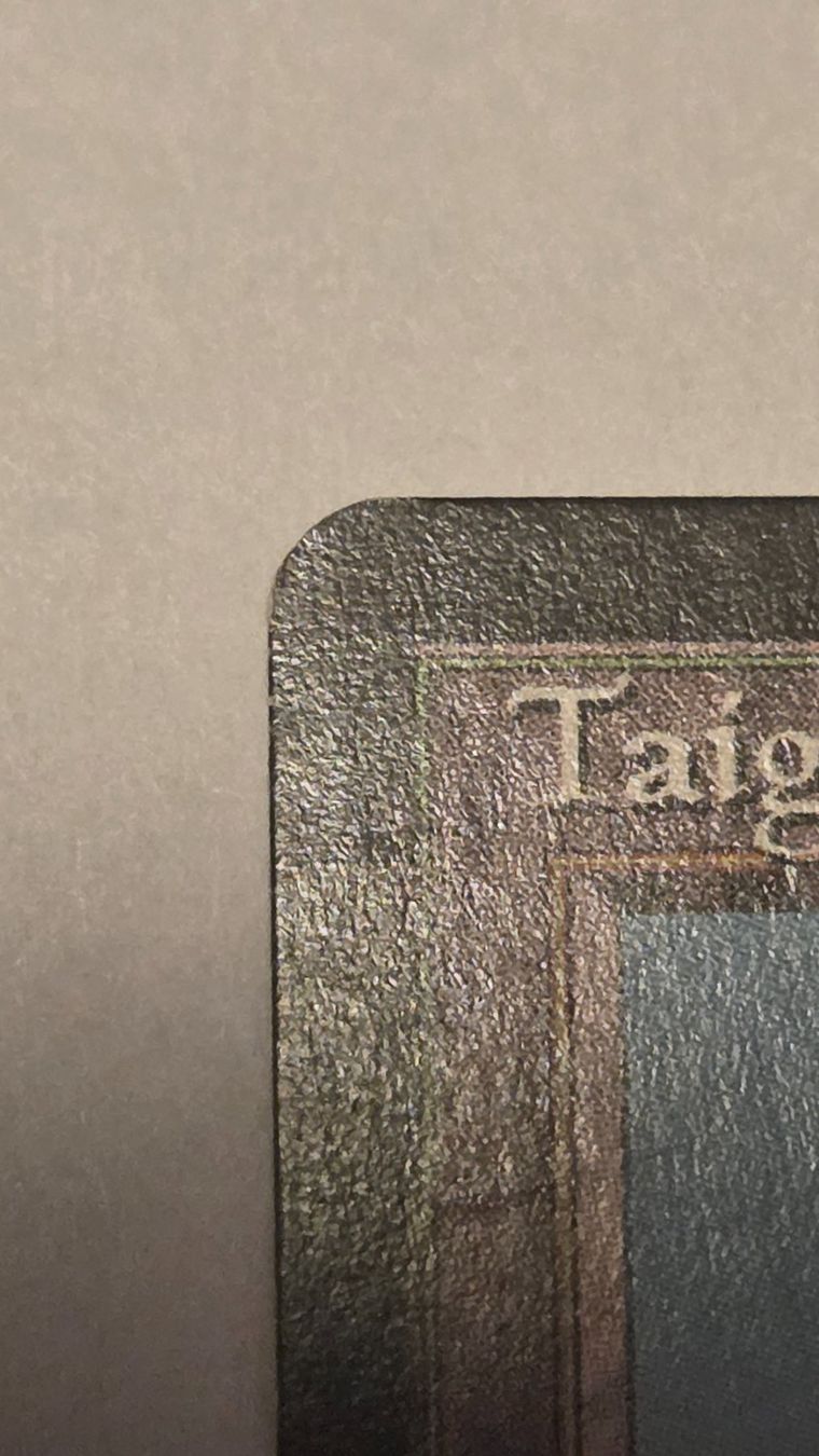Magic The Gathering Carte collezionabili: Mtg TAIGA (Foreign Limited ) – Usato da Buchs SG venduto da Remomoses 2