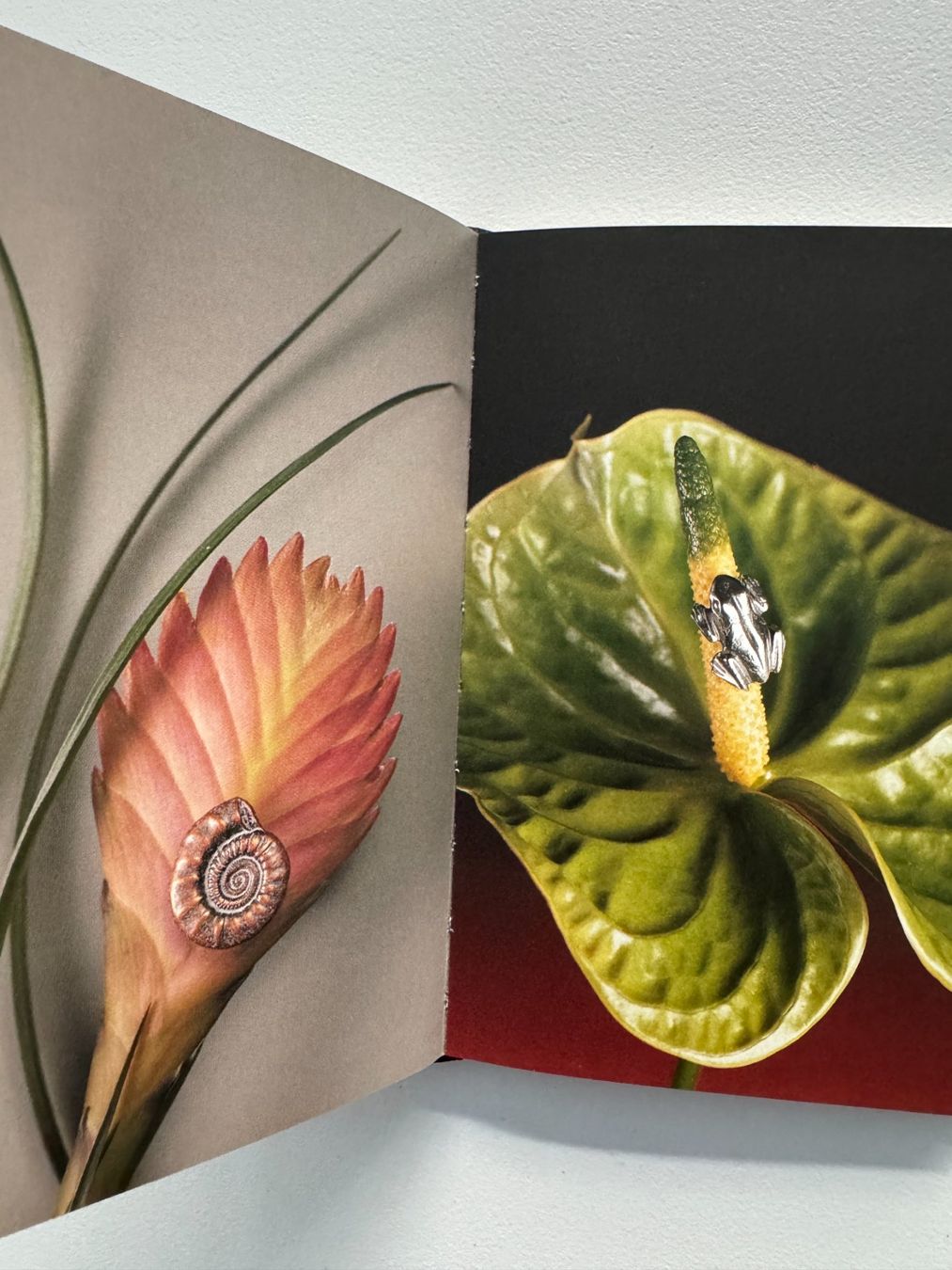 Libri: Roosens - Knopfbuch – Usato da Basel venduto da Kornblumen 3