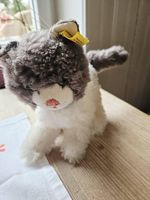 Steiff Cosy Kitty
