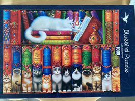 Puzzle Katzen Bücherregal