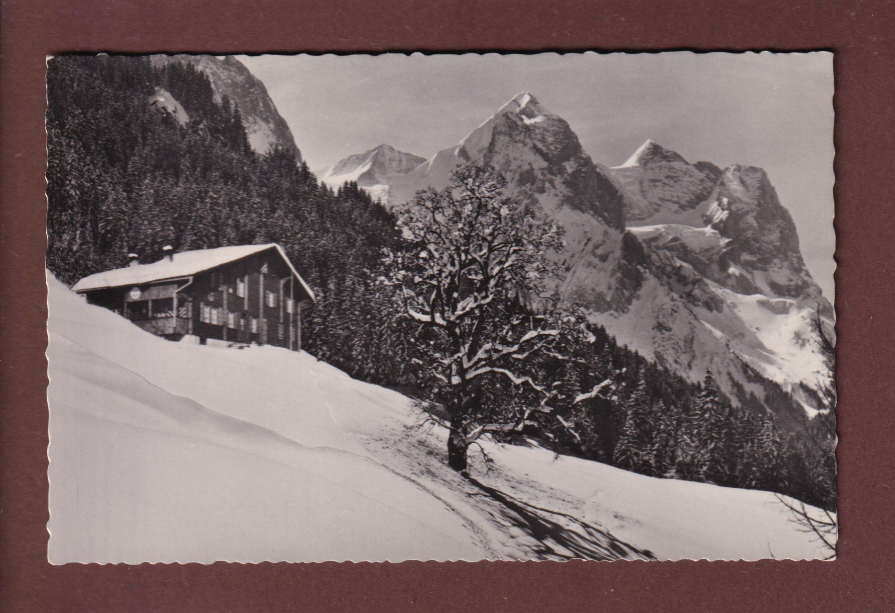 Cartoline postali: Naturfreundehaus REUTSPERRE – Usato da Pully venduto da nicecards