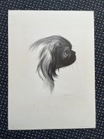 Lithografie von Walter Edmund Kässner 1933      (ID B5864)