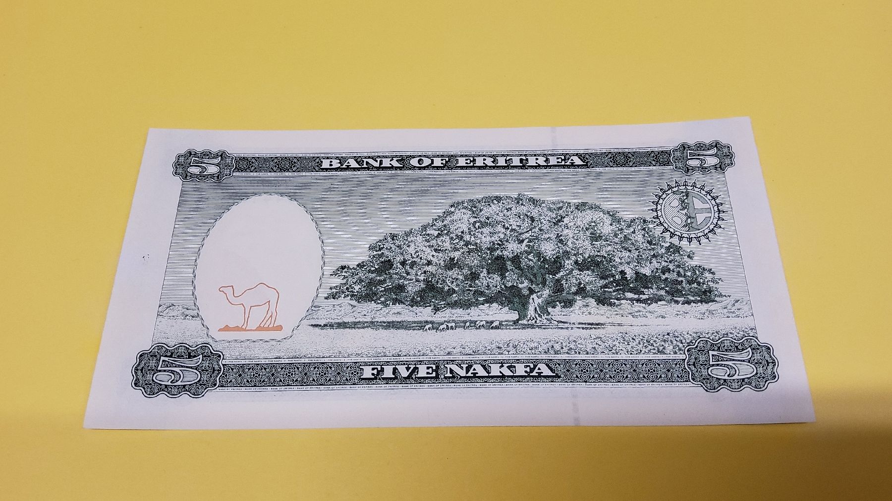 Banconote: Eritrea 5 Nakfa 1997, AA 4441931, Kamel, Baobab – Nuovo e nell'imballaggio originale da Herisau venduto da Nluanalucas 1