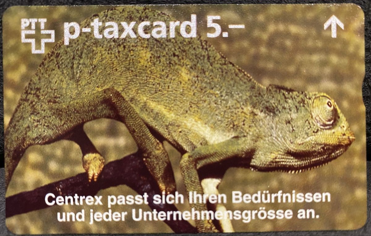 Cartes de téléphone: P-taxcard neuve  – Neuf (Voir description) à Lausanne par babacard10