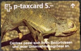 P-taxcard neuve 
