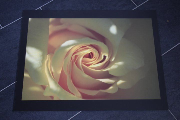 Foto & Immagini: Aluplatte 60 x 80 cm – Nuovo (secondo la descrizione) da Eschenbach SG venduto da Anisti13