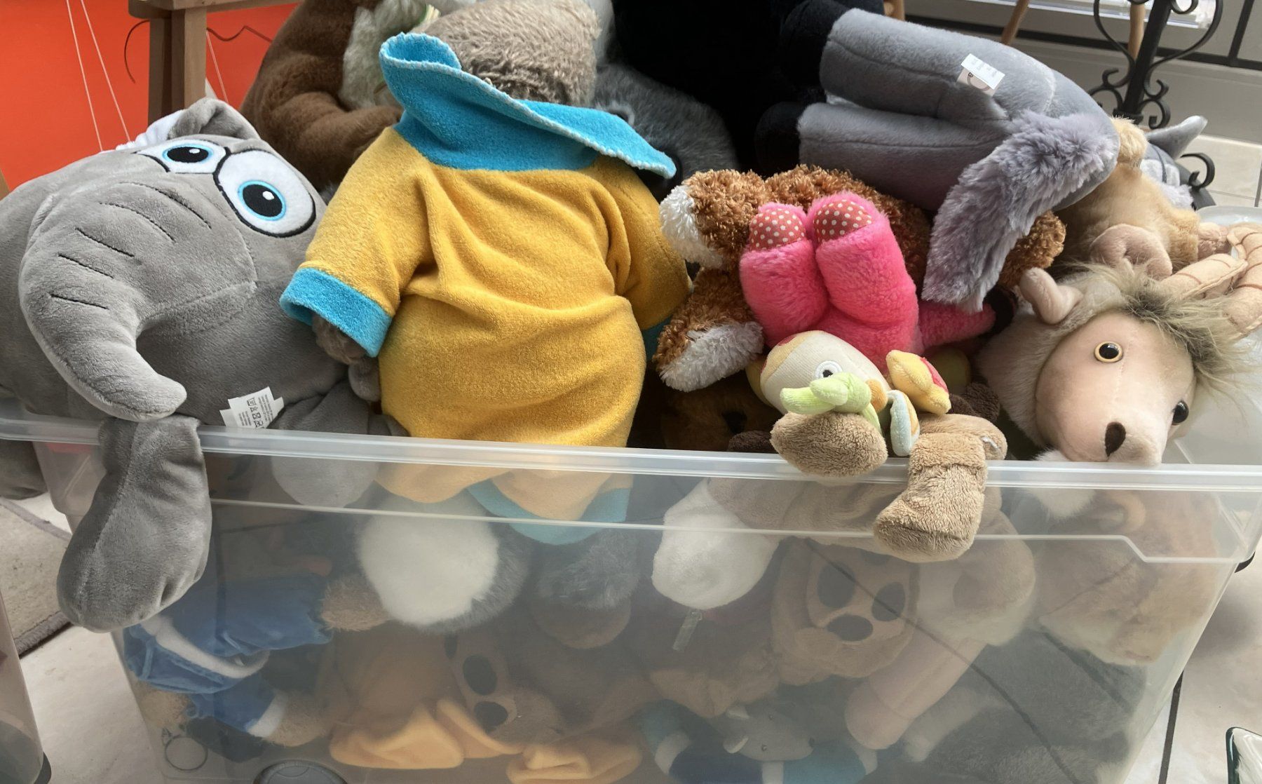 Giocattoli: Riesen-Kuscheltier-Sammlung – Usato da Luzern venduto da FeU 4