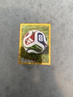 Panini fwc 5