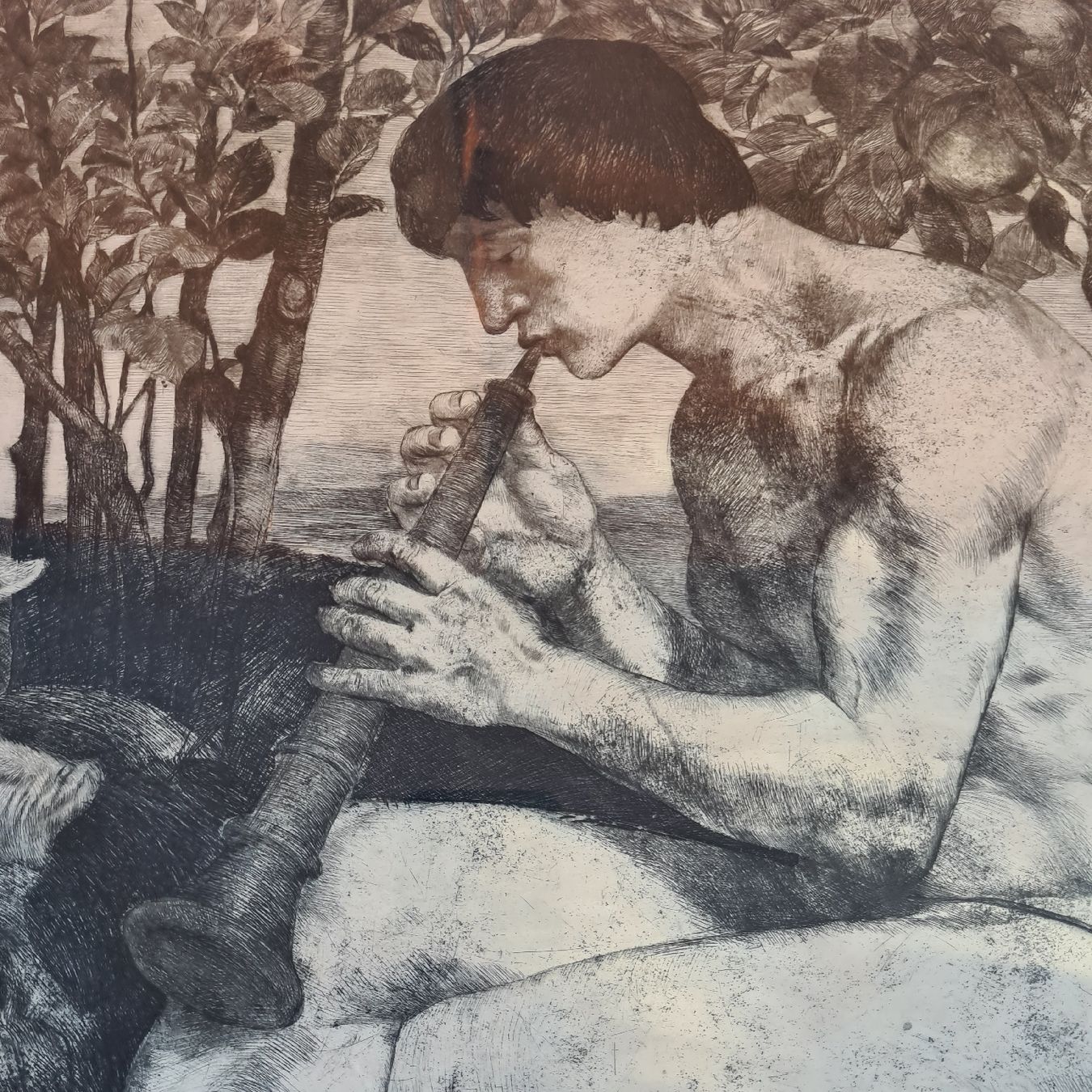 Tableaux: RADIERUNG 1895, Signiert  – D'occasion à Pazzallo par Salvapazzo 4