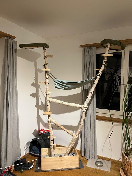 Spannende Katzenbaum Selbst Bauen Ebenbild